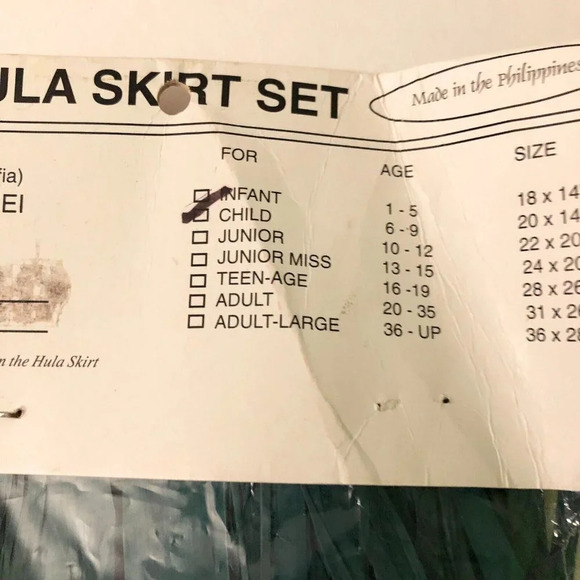 Hawaiin Hula Girl Costume With Raffia Skirt And Coconut Top Child Size Halloween - Picture 7 of 16